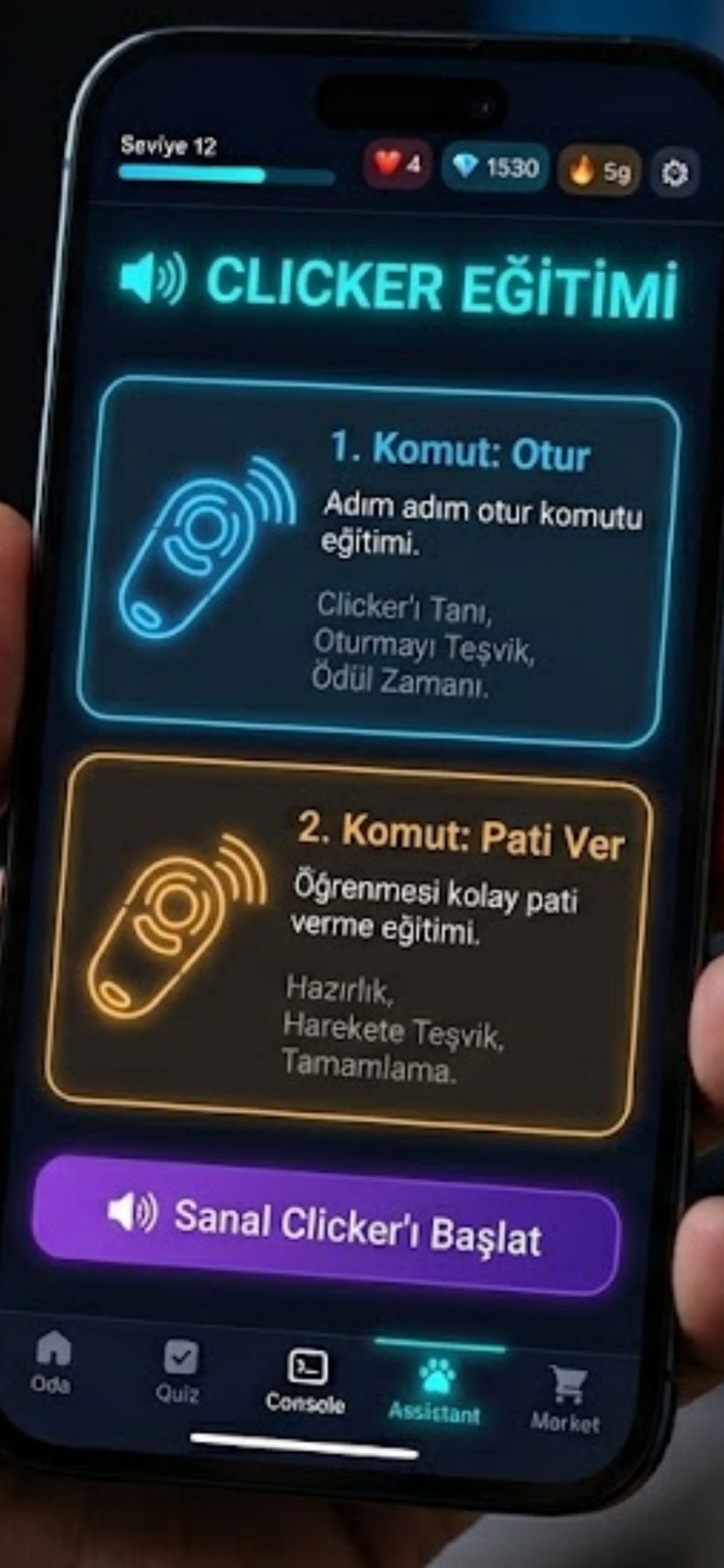 Akademi1