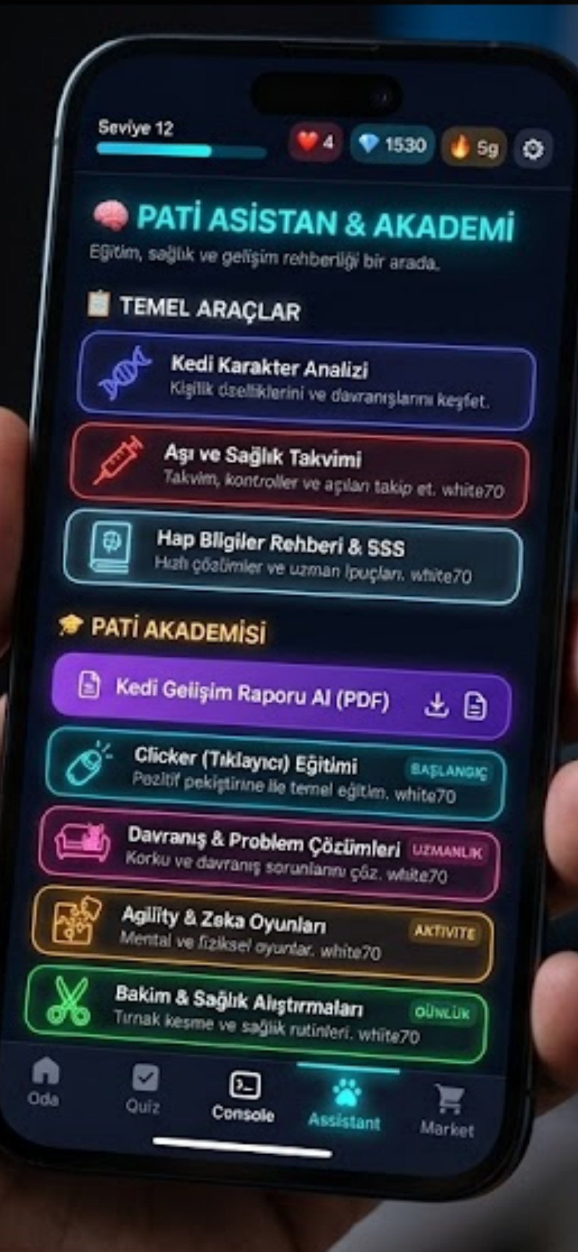 Akademi1