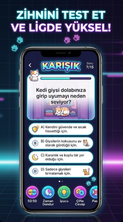 Kedi Arenası